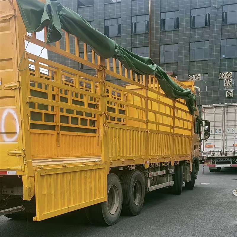 河北廊坊文安县至宜宾货运专线一站式物流服务，让货物畅行无忧
